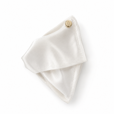 Shell Hair Claw